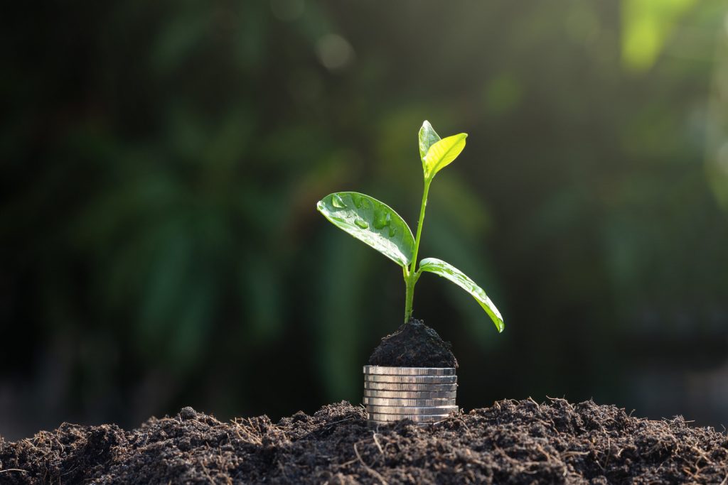 Finance Concept,Seedling Growing Money